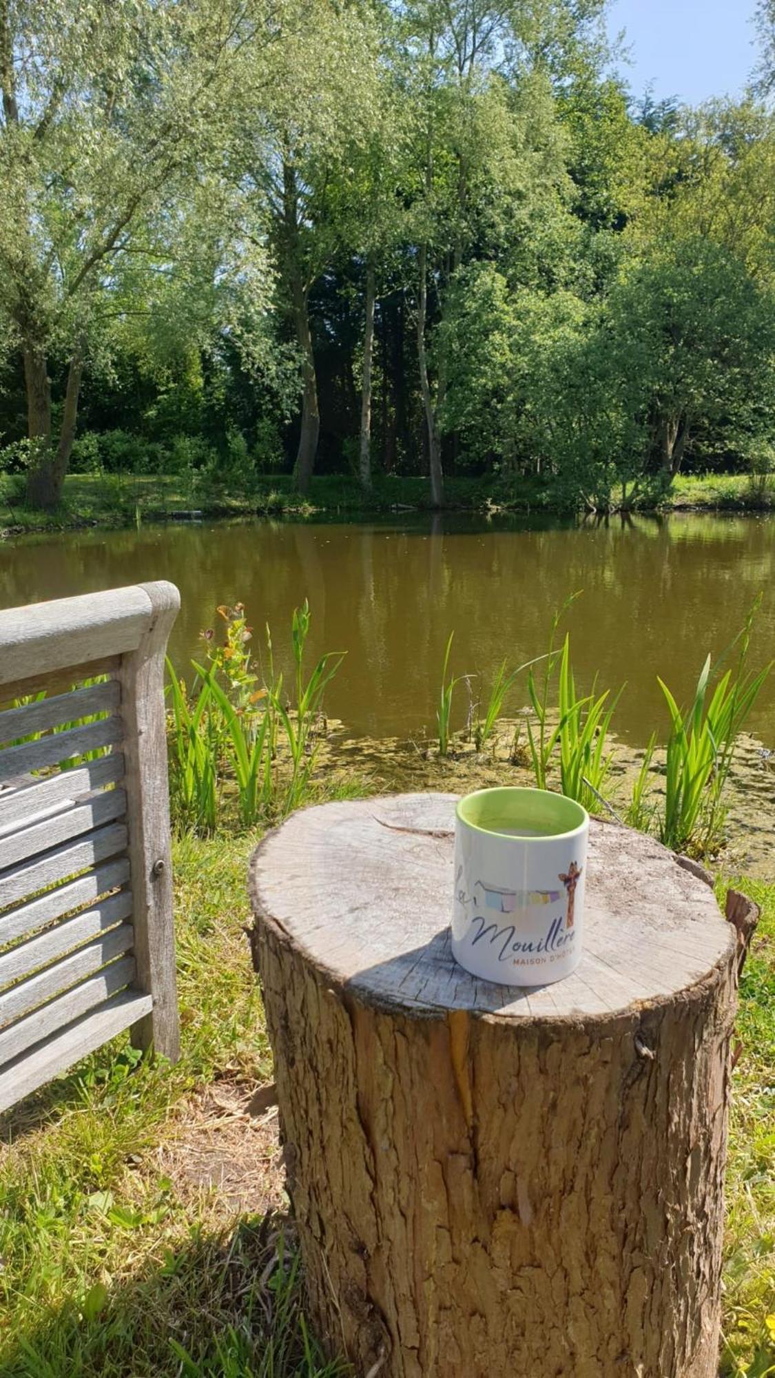 Bed and breakfast La Mouillere Verton