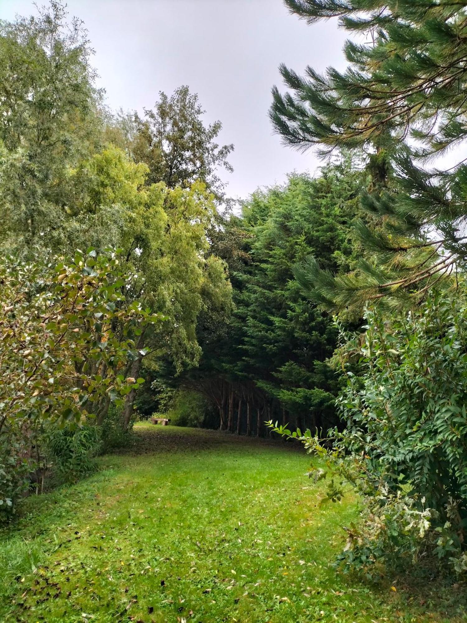 Frühstückspension La Mouillere Verton