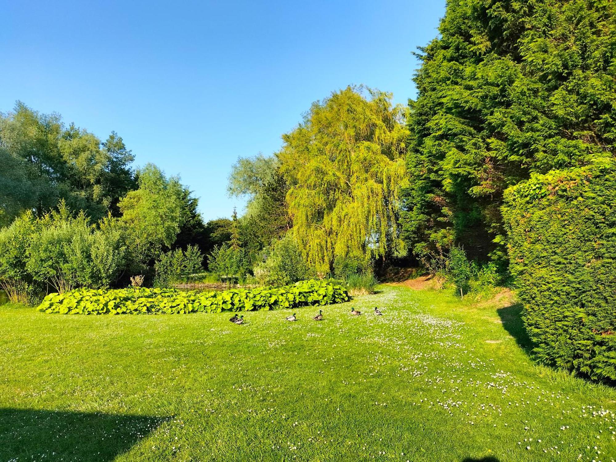 La Mouillere Couette-café Verton